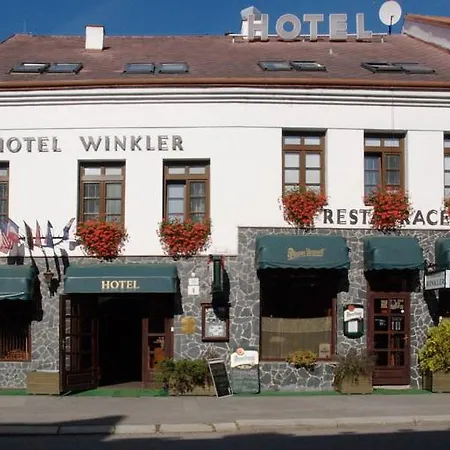 Solaster Garni Hotel 3*