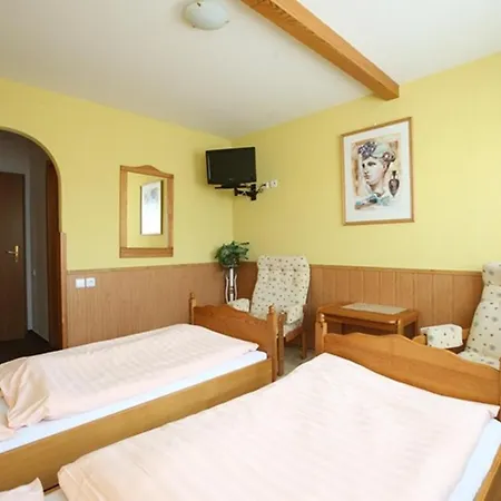 Solaster Garni 3* Trebic