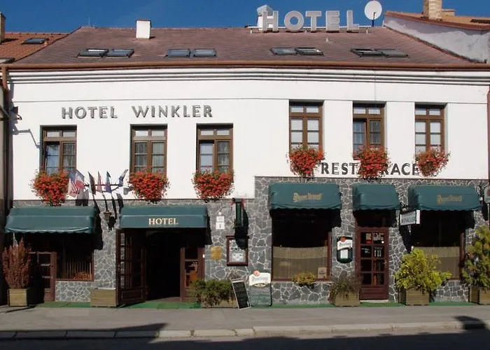 Solaster Garni Hotell 3*